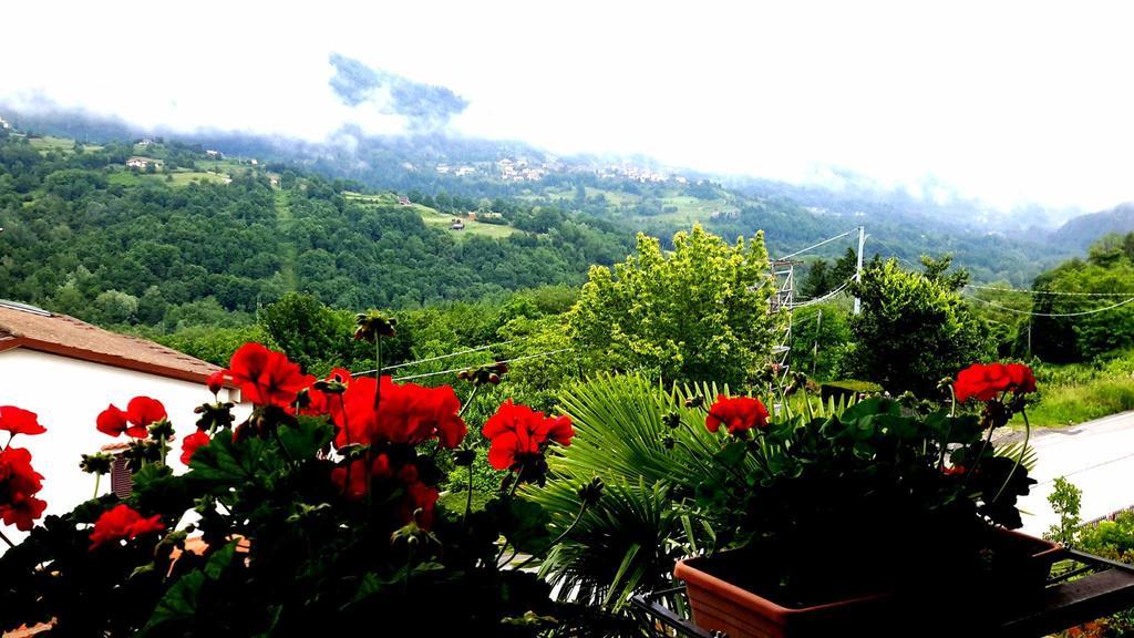 B&B Da Franca Camporgiano Εξωτερικό φωτογραφία